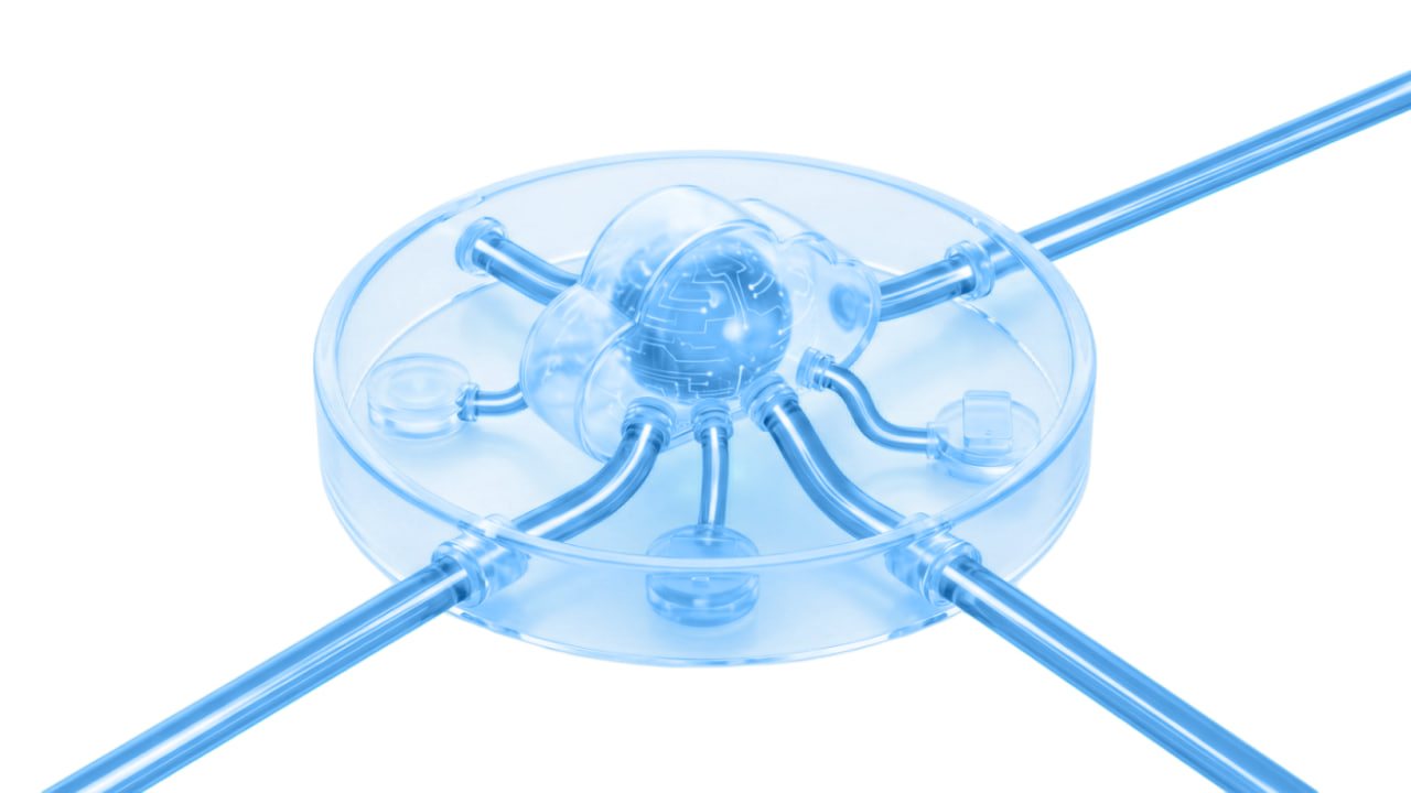 Local Deployment in Uzbekistan